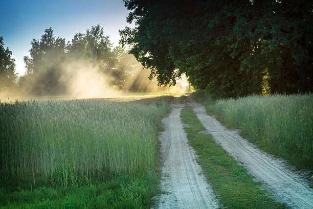 Дома для отпуска Dom Kampinos Wola Pasikońska-22